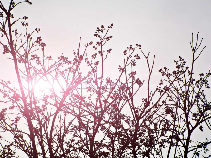 sudoku challenge mode screenshot 1