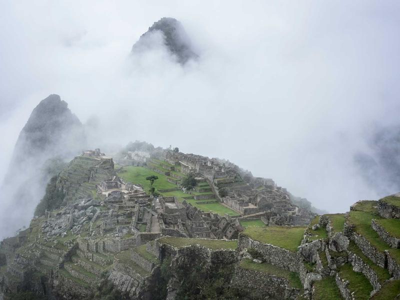 sudoku challenge mode screenshot 2