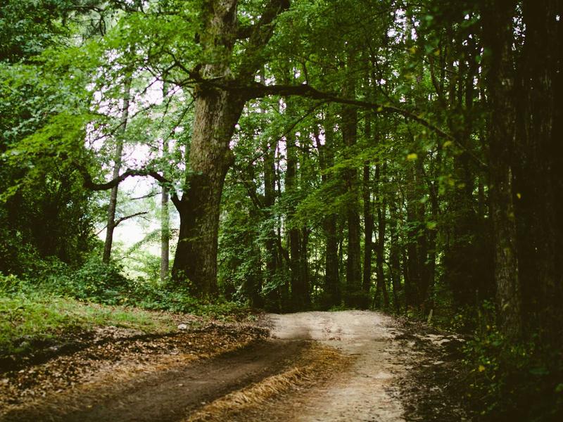 sudoku challenge mode screenshot 3